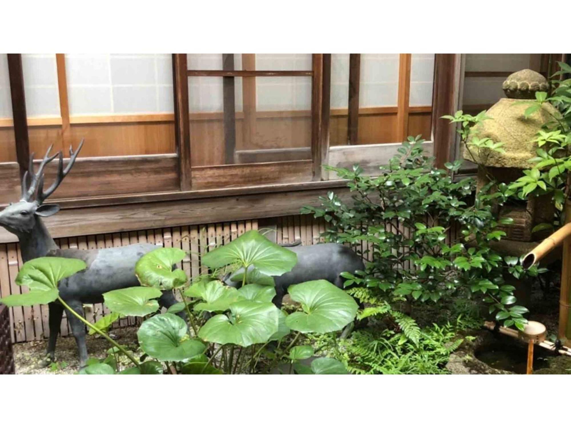 Gion Kinpyo - Vacation 37330v Kyoto